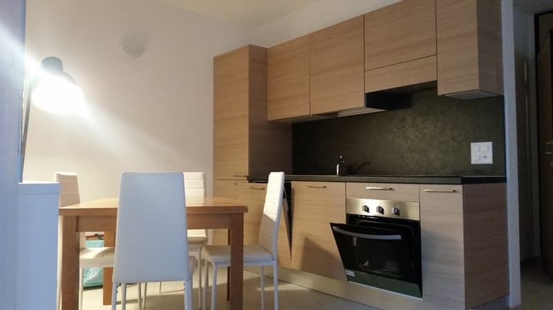 Ensoleillé, Confort, Appartement en attique 2,5, avec deux terrasses, place de parking (8)