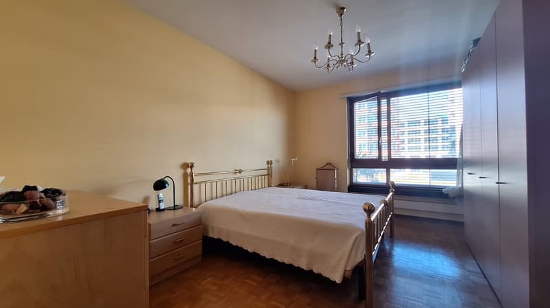 Fronte Lago di Lugano, Spazioso Appartamento loc 3,5, due bagni,  con Terrazza, cantina. (15)
