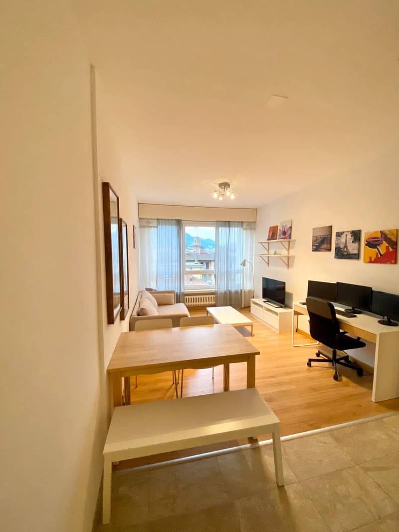 Centre de Lugano, Étage en attique avec deux appartements de 2,5 pièces, Terrasses, Place de parking couverte. (13)