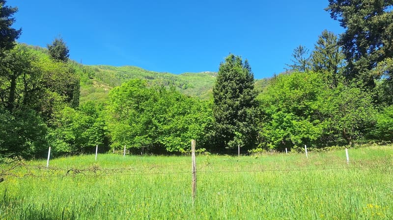 Buildable land of 5'639 m² in sunny, residential position (2)
