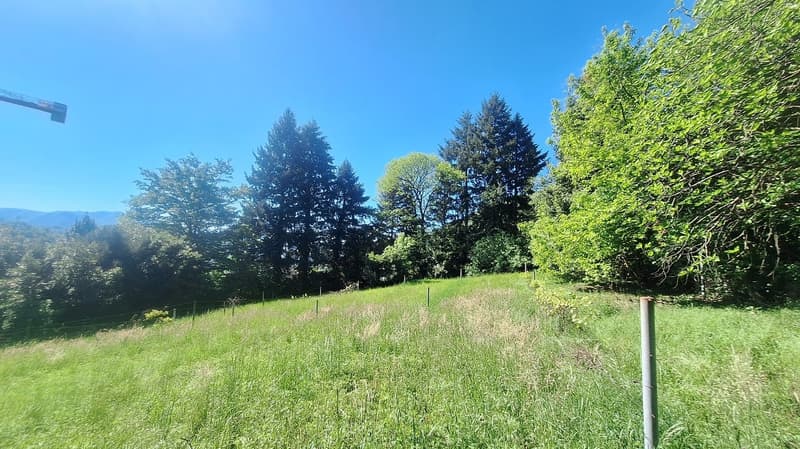 Buildable land of 5'639 m² in sunny, residential position (6)