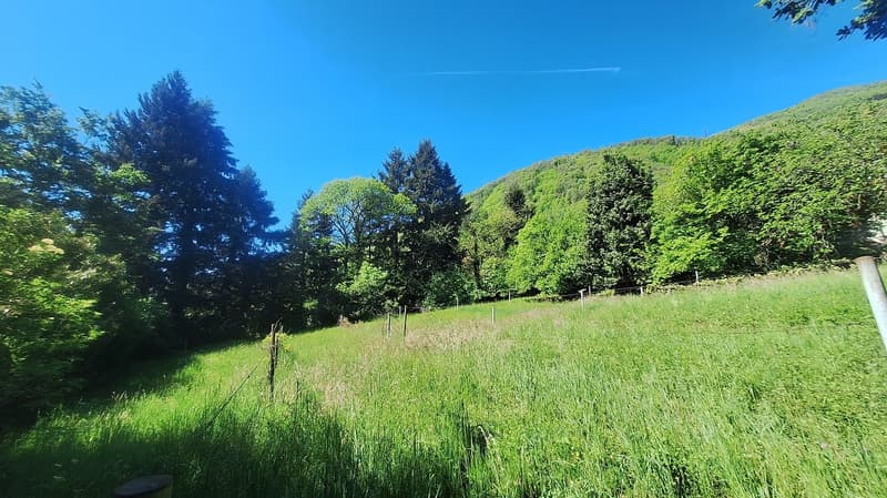 Buildable land of 5'639 m² in sunny, residential position (5)