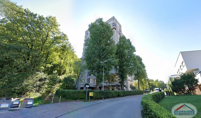 Komfort, Wohnung 3,5 Zi, mit Terrasse, Panoramablick, Keller (3)