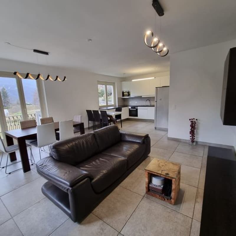 Sunny, spacious detached house with three apartments, private garden in Breganzona (7)