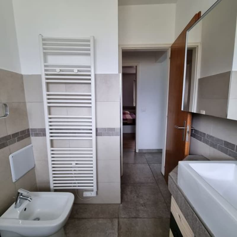 Sunny, spacious detached house with three apartments, private garden in Breganzona (13)
