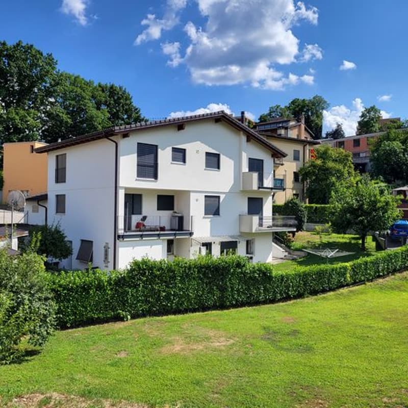 Sunny, spacious detached house with three apartments, private garden in Breganzona (1)