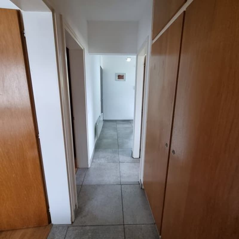 Sunny, spacious detached house with three apartments, private garden in Breganzona (15)
