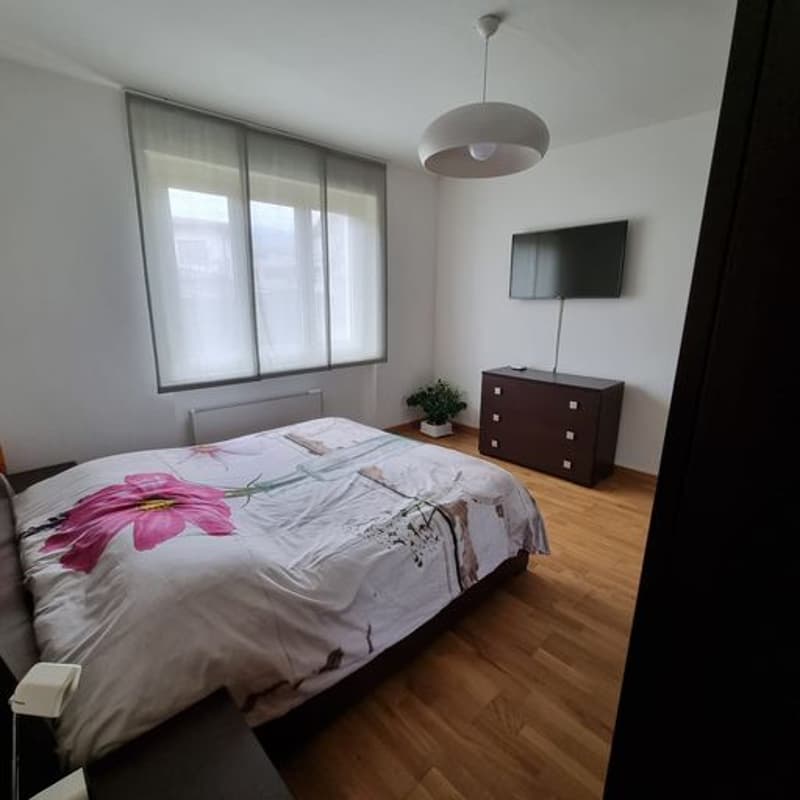 Sunny, spacious detached house with three apartments, private garden in Breganzona (12)
