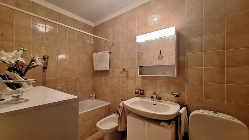 Face au lac de Lugano, Appartement spacieux à louer 3,5 pièces, deux salles de bains, avec terrasse, cave. (20)