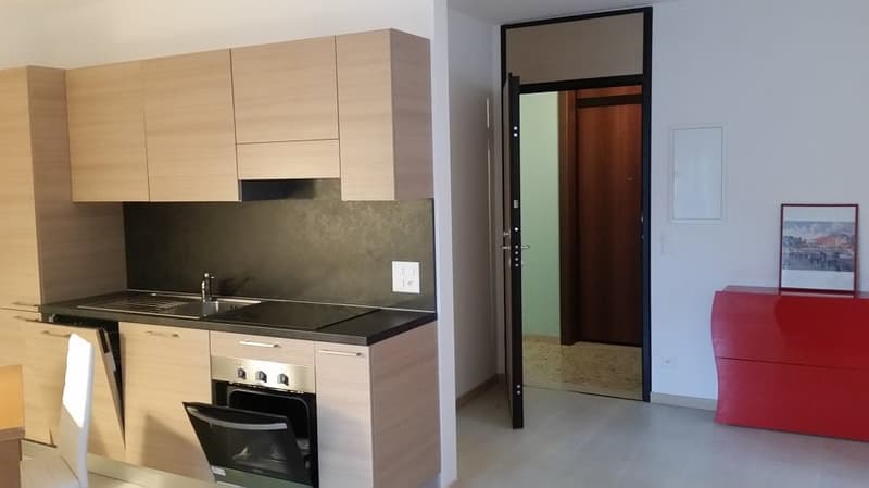 Ensoleillé, Confort, Attique loc 2,5, avec deux terrasses, place de parking (9)
