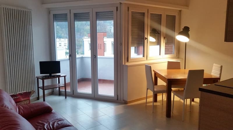 Ensoleillé, Confort, Attique loc 2,5, avec deux terrasses, place de parking (7)