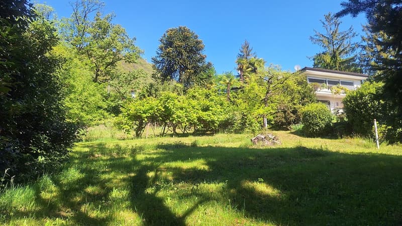 Terreno edificabile di 5'639 m² in posizione Soleggiata, Residenziale. (2)