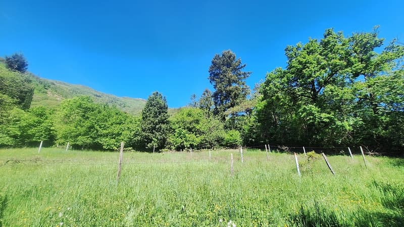 Terreno edificabile di 5'639 m² in posizione Soleggiata, Residenziale. (1)
