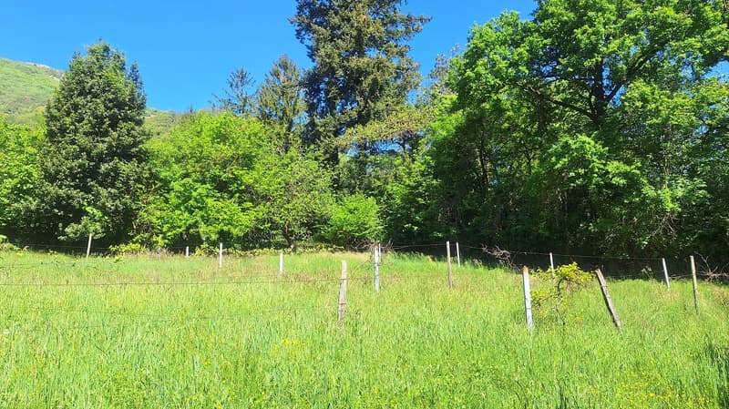Terreno edificabile di 5'639 m² in posizione Soleggiata, Residenziale. (4)