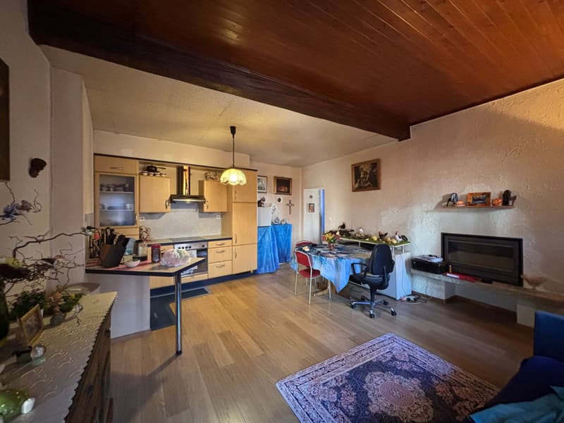 Haus mit 3 Wohnungen zur Renovierung, Garten mit Pergola, Rustico und Wald (7)