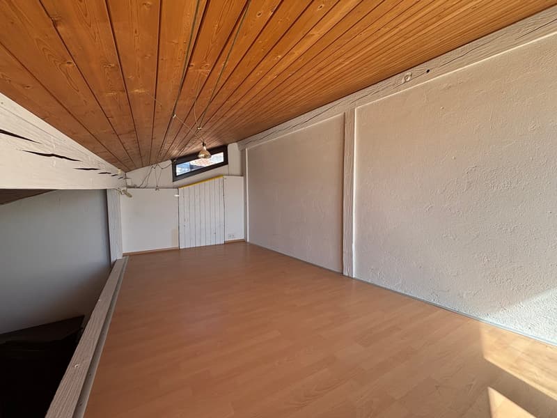 Haus mit 3 Wohnungen zur Renovierung, Garten mit Pergola, Rustico und Wald (11)