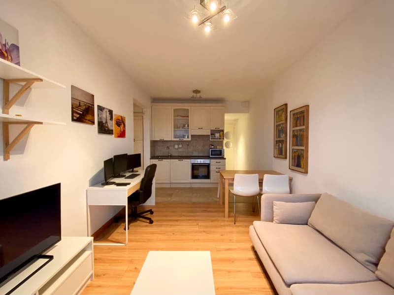 Centro Lugano,   Piano Attico con  due appartamenti di loc 2,5, Terrazze, Posto Auto coperto. (11)