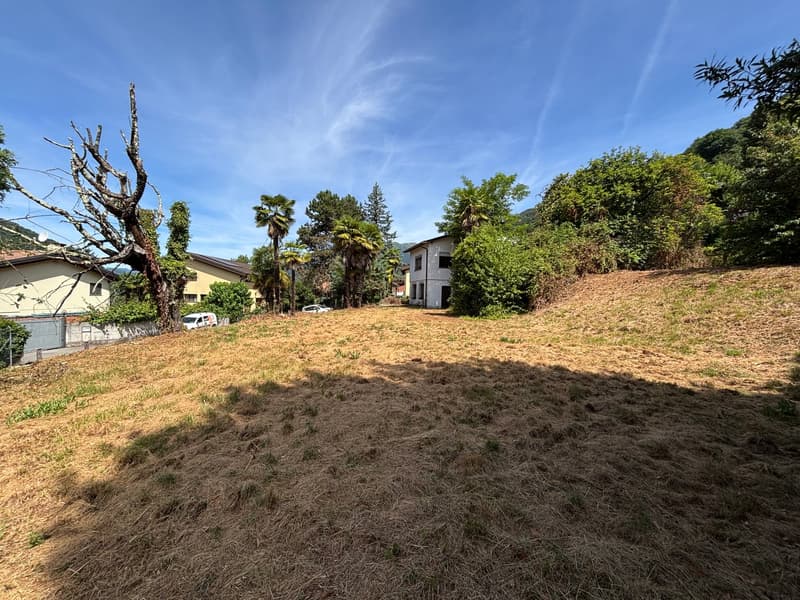 Plot of buildable land with house in residential area (5)