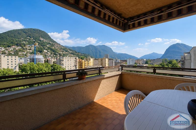 Lugano, Centrale, Lumineux, Spacieux Appartement avec deux Terrasses (4)