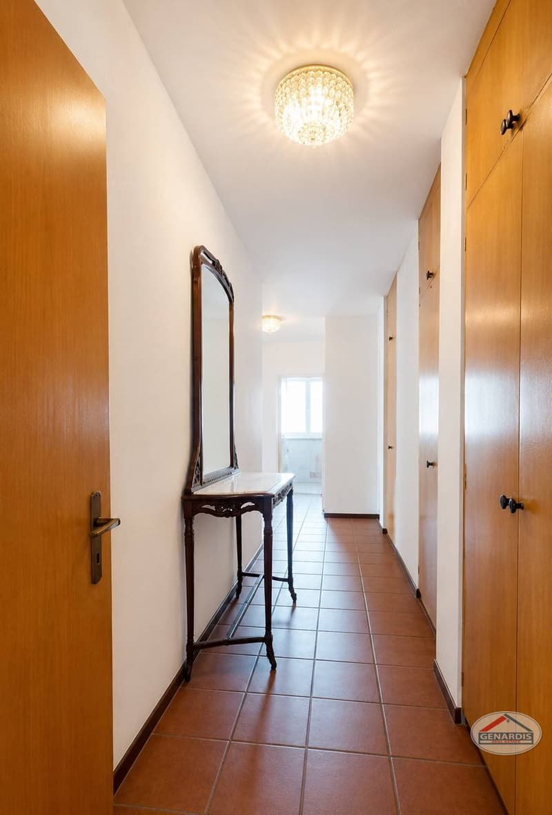 Lugano, Centrale, Lumineux, Spacieux Appartement avec deux Terrasses (10)