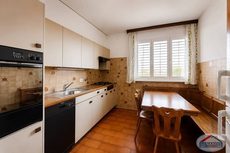 Lugano, Centrale, Lumineux, Spacieux Appartement avec deux Terrasses (8)