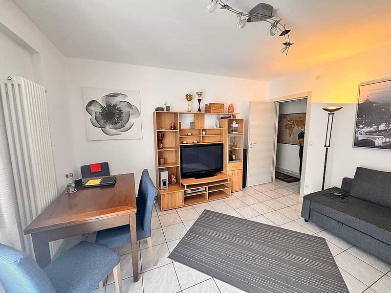 Lugano Centre, Appartement lumineux avec terrasse, cave (6)