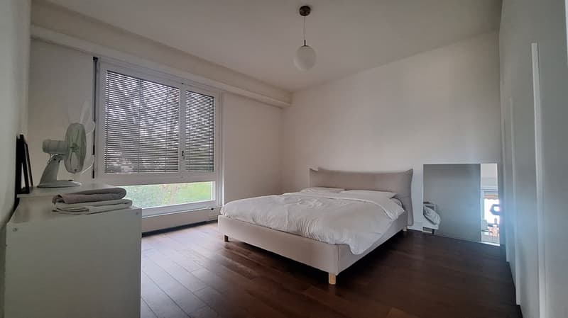 Lugano Centre, Appartement lumineux avec grande Terrasse, cave, place de parking (9)