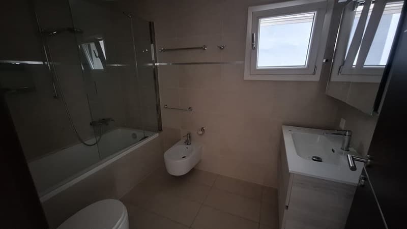 Ensoleillé, Confort, Appartement confortable avec terrasse, trois salles de bain, deux places de parking (18)