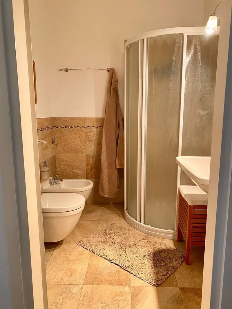 Centre de Lugano, Appartement au dernier étage à louer 2,5, Terrasse, Balcon, Place de parking couverte. (14)