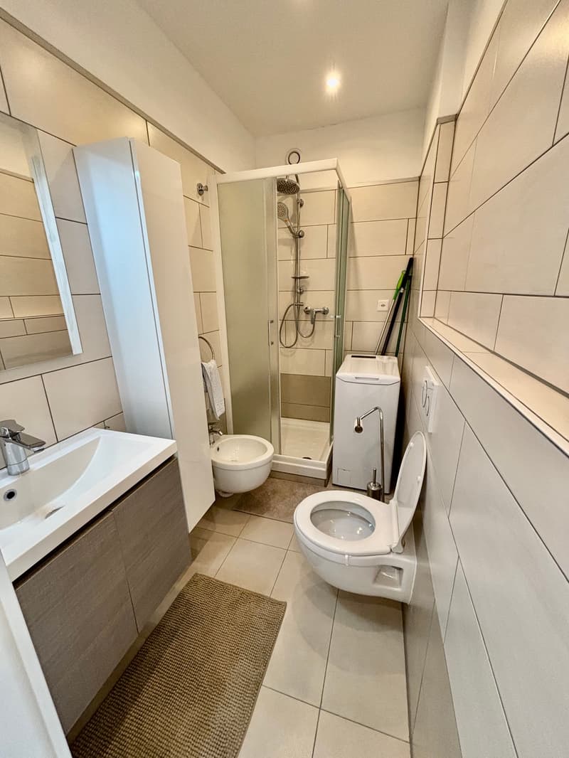Möbliertes Studio-Apartment mit Aussicht im Herzen von Agno/ Monolocale ammobiliato con vista aperta (7)