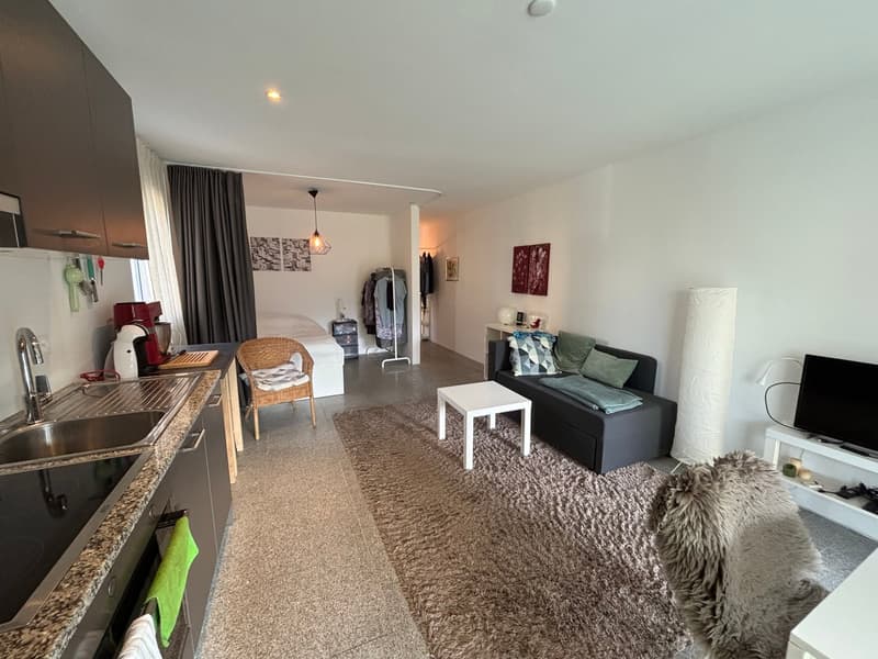 Moderno 1,5/2 locali ammobiliato con terrazzo e piscina (2)