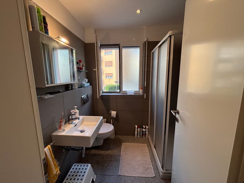 Moderno 1,5/2 locali ammobiliato con terrazzo e piscina (7)