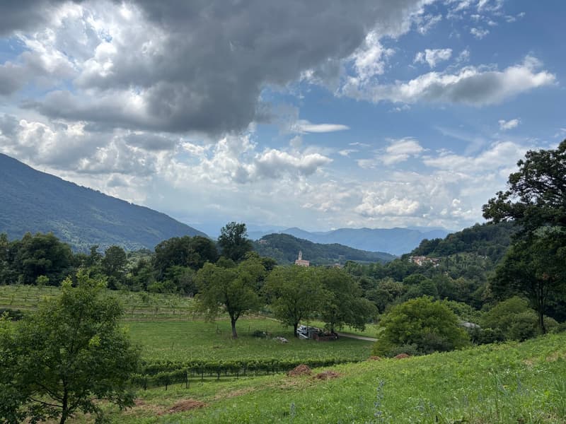 Spaziosa casa nuova con vista sul M. Rosa in contesto idilliaco (13)