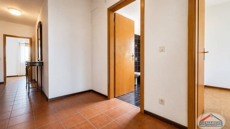 Lugano, Centrale,  Luminoso, Spazioso Appartamento con due Terrazze (9)