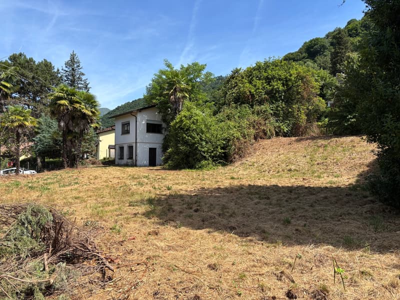 Lotto di terreno edificabile con casa in zona residenziale pianeggiante (7)