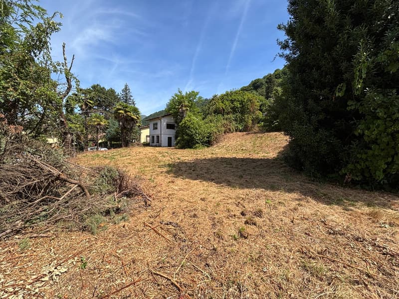 Lotto di terreno edificabile con casa in zona residenziale pianeggiante (6)