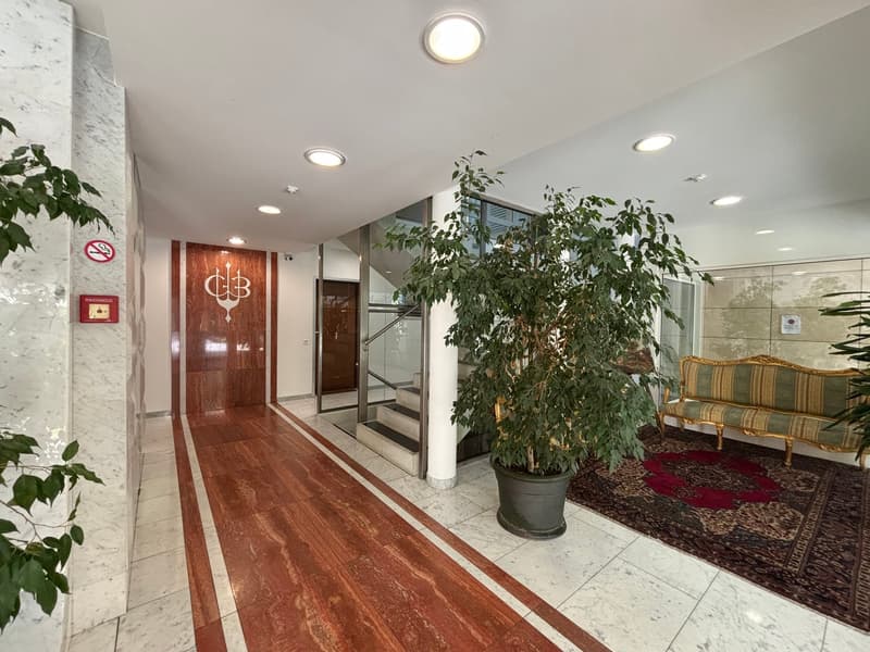Accogliente appartamento di 3 locali con balcone e vista panoramica a Lugano (2)