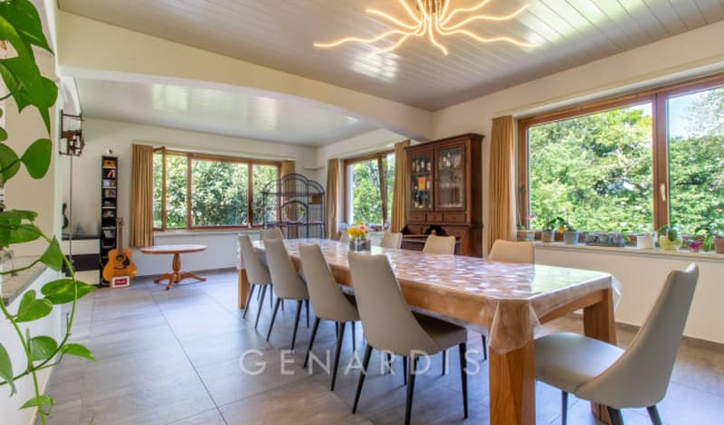 Rara opportunità - Villa uni-bifamiliare con piscina, terreno e privacy (8)