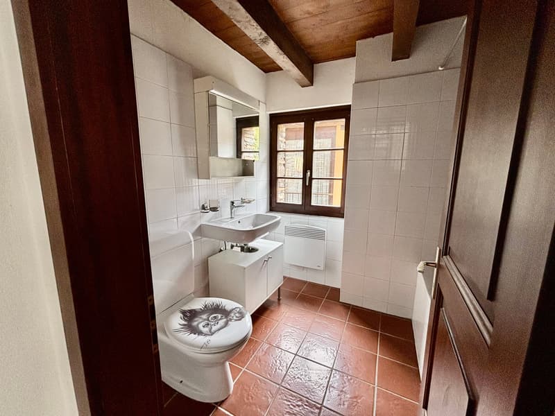 Rustico di charme a Miglieglia – 3 locali con carattere (5)