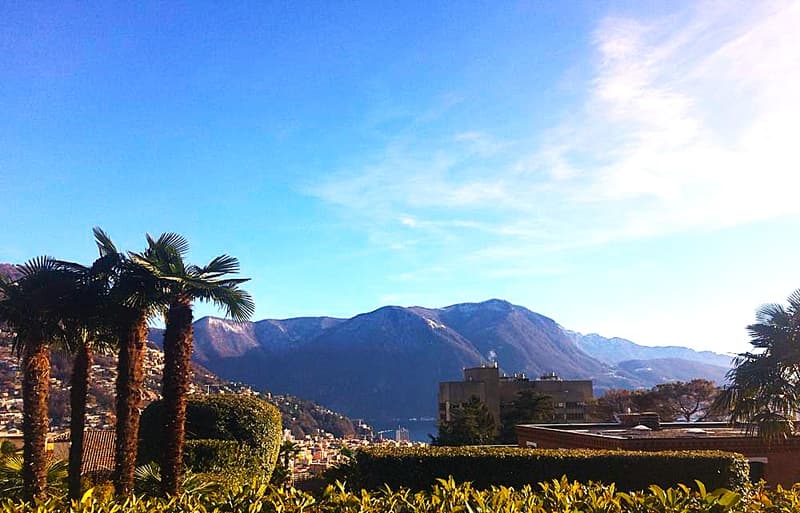 Confortevole Appartamento- Duplex di 3.5 locali a Lugano – Luminoso e Tranquillo (5)