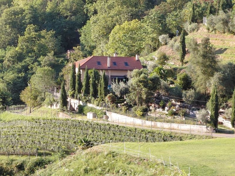 Villa di charme immersa nella natura (1)