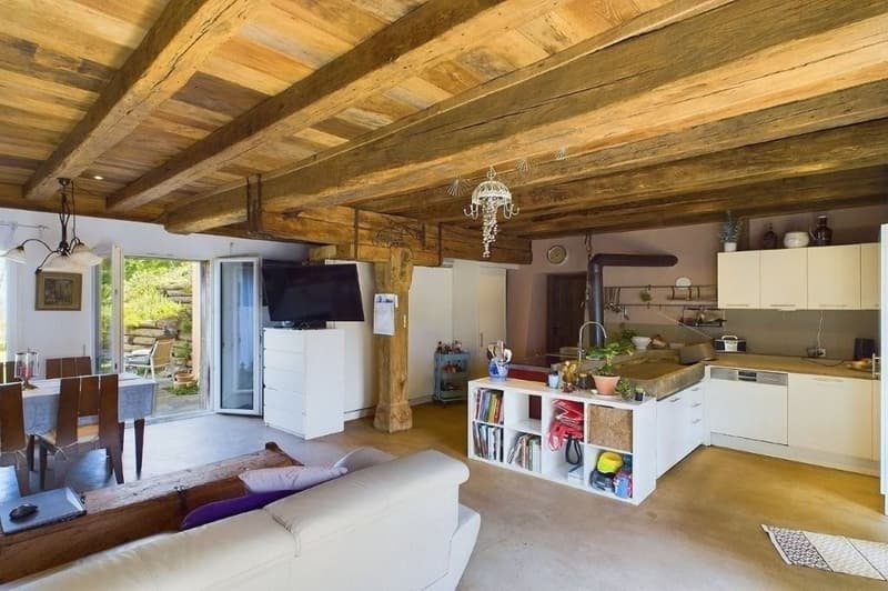 Villa di charme immersa nella natura (5)