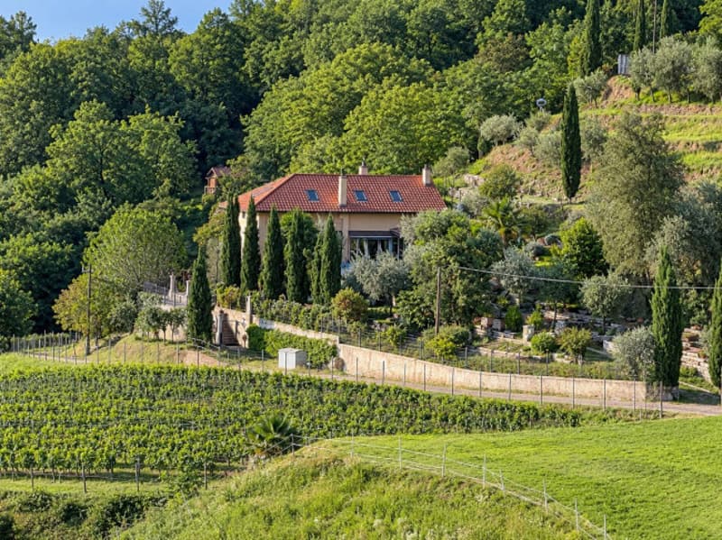 Villa di charme immersa nella natura (2)