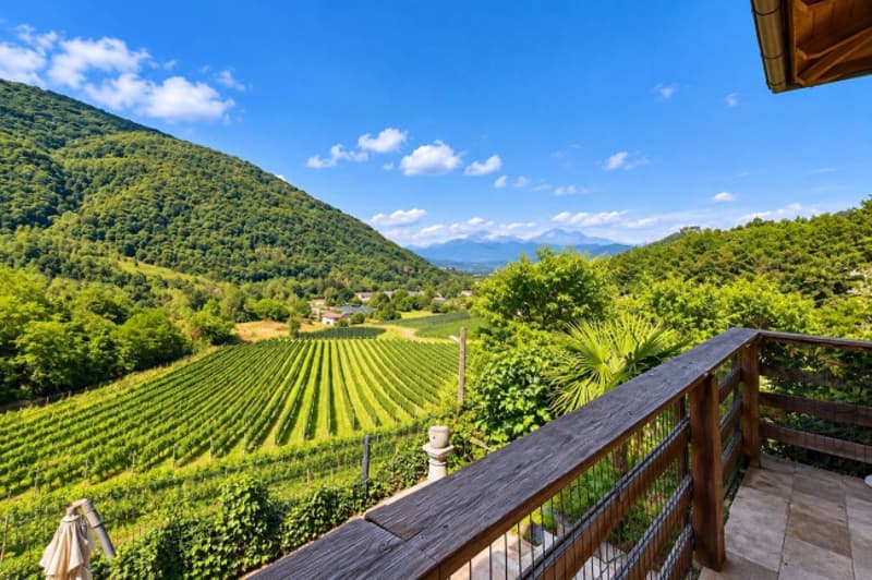 Villa di charme immersa nella natura (11)