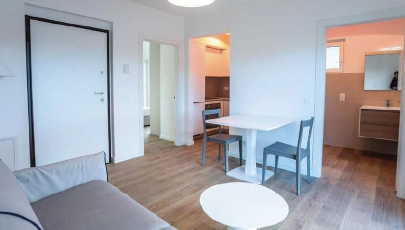 Esclusiva Residenza  a Reddito,  con 10 Appartamenti  a Lugano - Viganello (4)