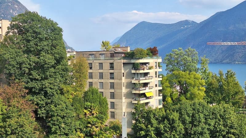 Lugano Centrale, Luminoso Appartamento con ampia Terrazza, cantina, posto auto (1)