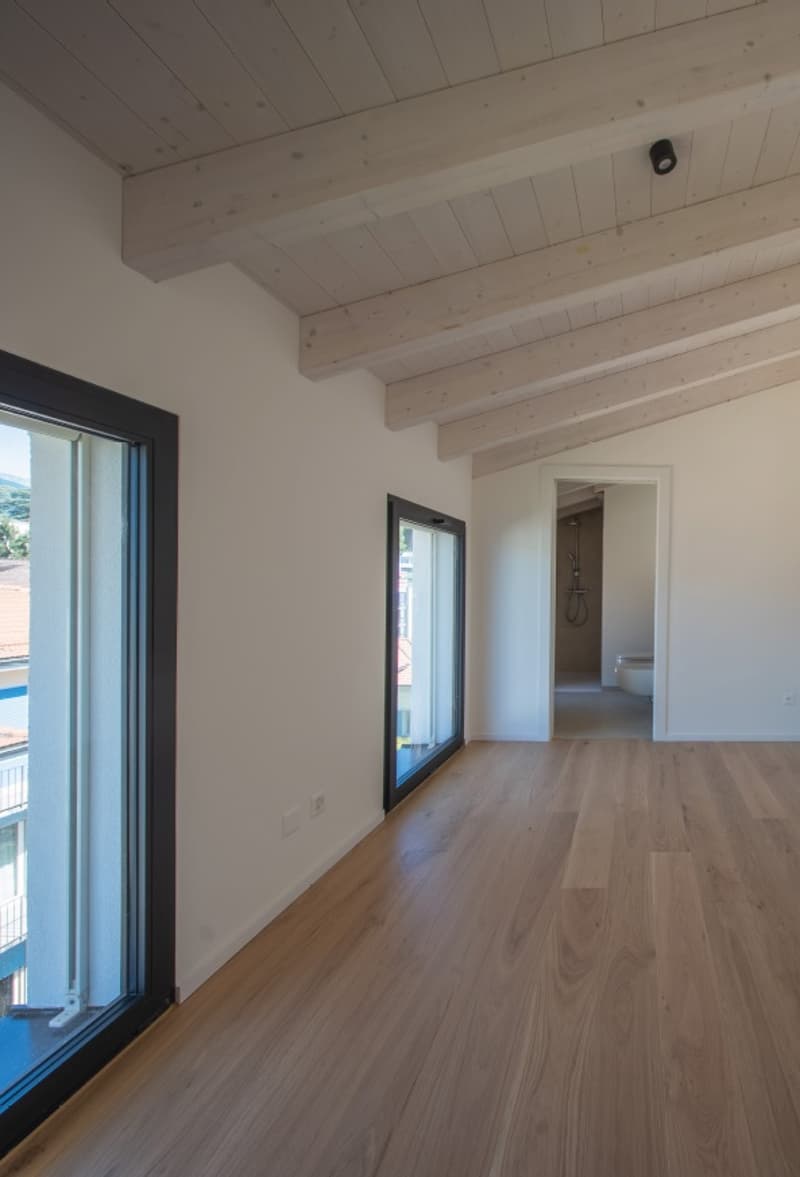 Esclusiva, Elegante Residenza  di Nuova Costruzione a Massagno, con 5 Appartamenti (4)