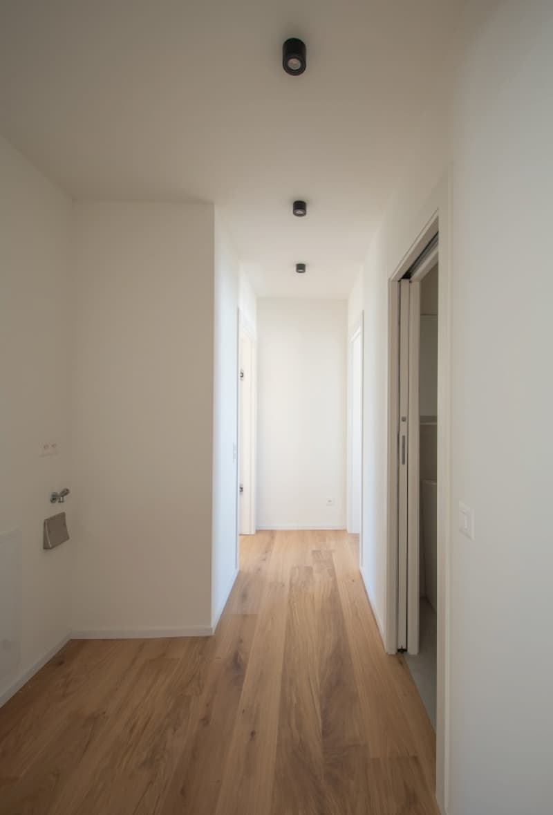 Esclusiva, Elegante Residenza  di Nuova Costruzione a Massagno, con 5 Appartamenti (5)