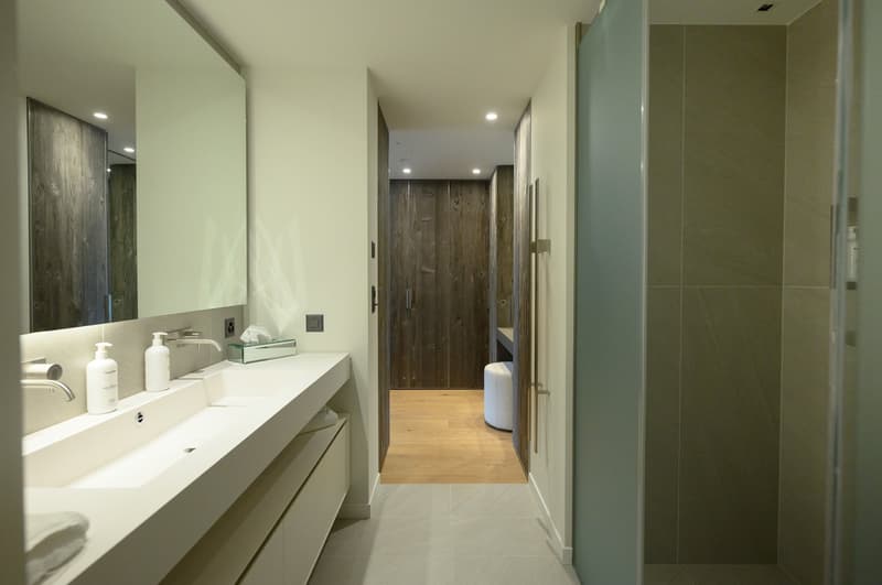 Alpine living with hotel service in Andermatt (10)