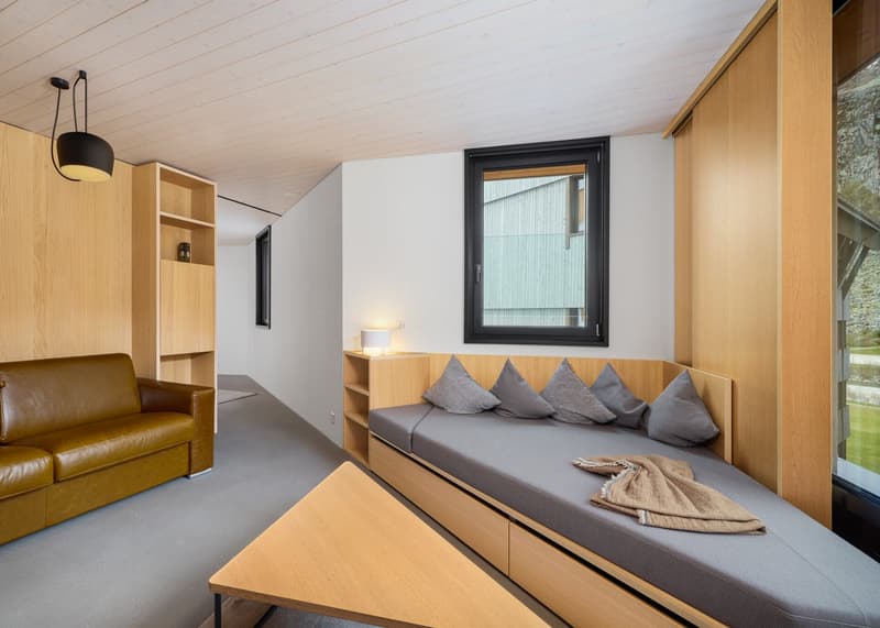 Contemporary Alpine Living at Frame (3)